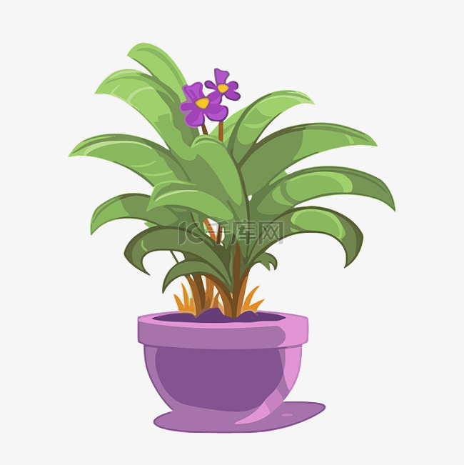 室内植物剪贴画绿色植物盆栽紫色