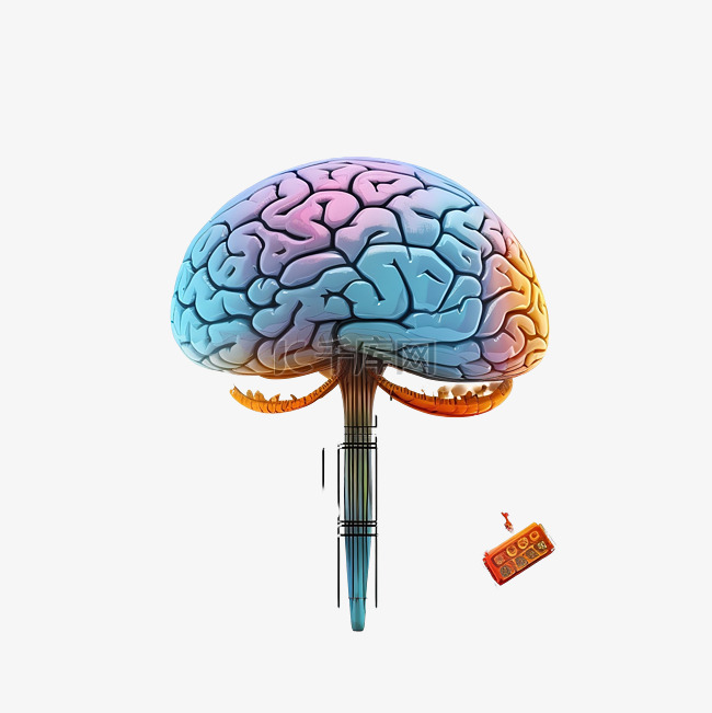大脑和心智研究