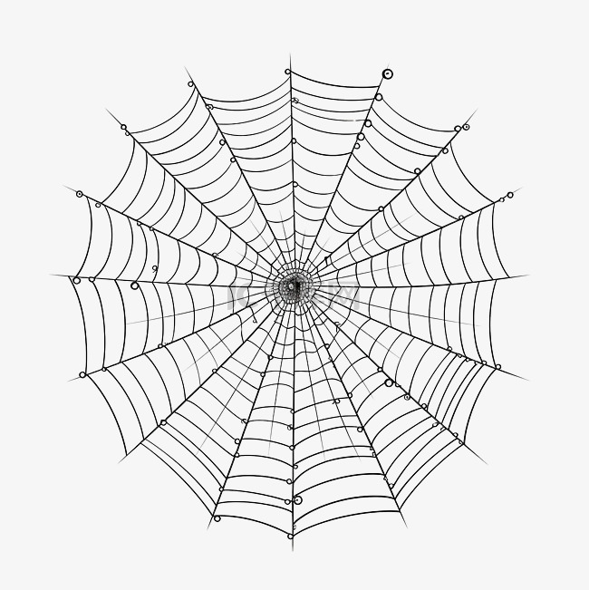 蜘蛛网万圣节蜘蛛网关闭线性手绘