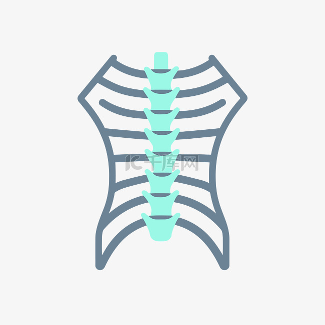 平面样式的线性骨骼脊柱图标矢量