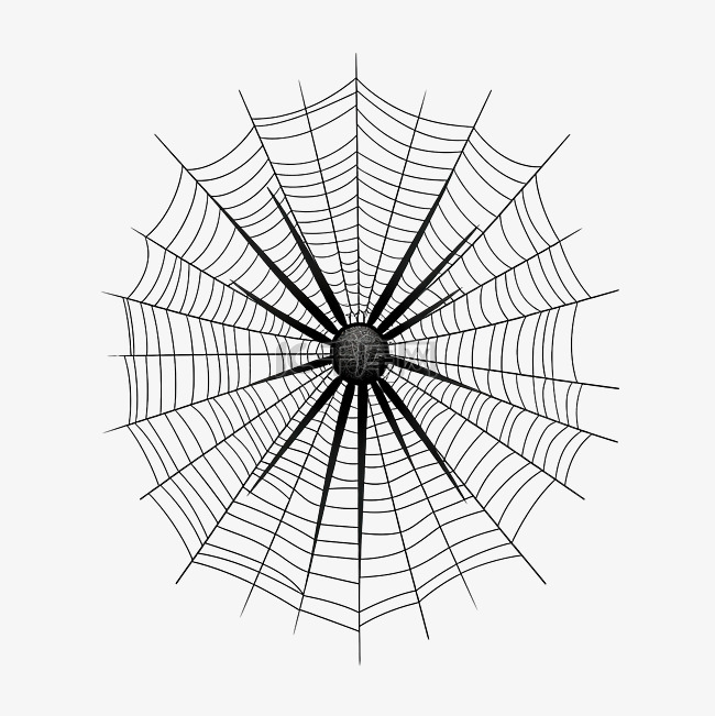 蜘蛛网和蜘蛛万圣节设计手绘矢量