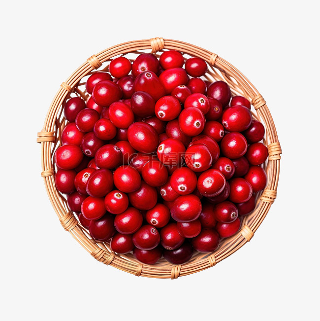 蔓越莓国庆节和感恩节篮子里的顶