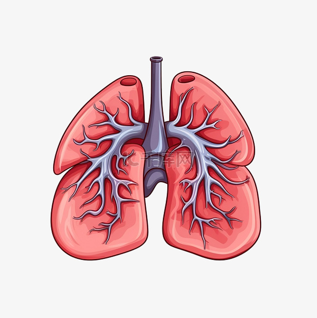 肺部卡通人物器官