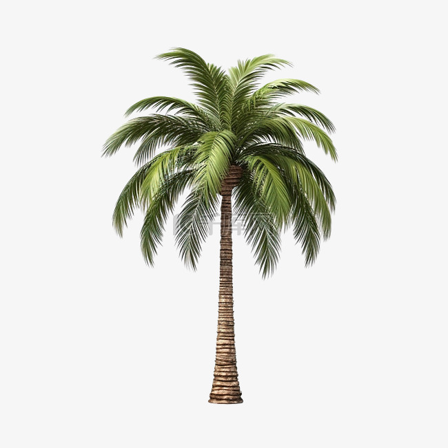 棕榈树隔离 3D 渲染插图