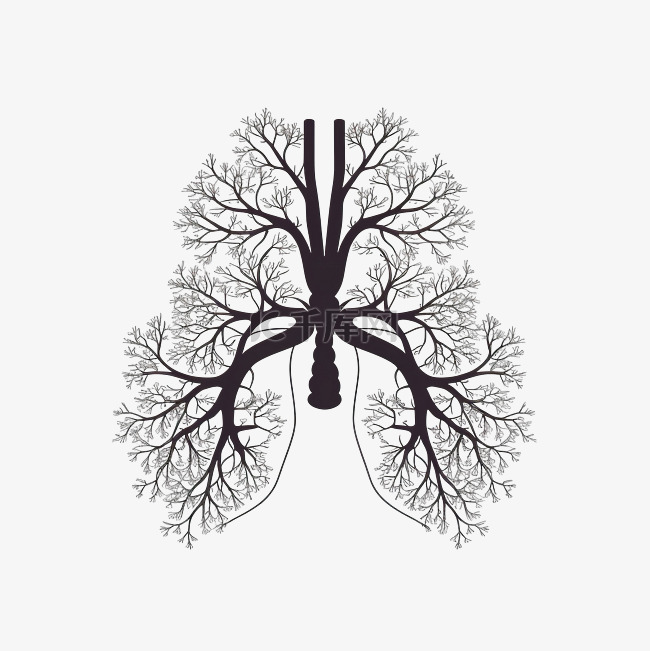 最小风格的肺部插图