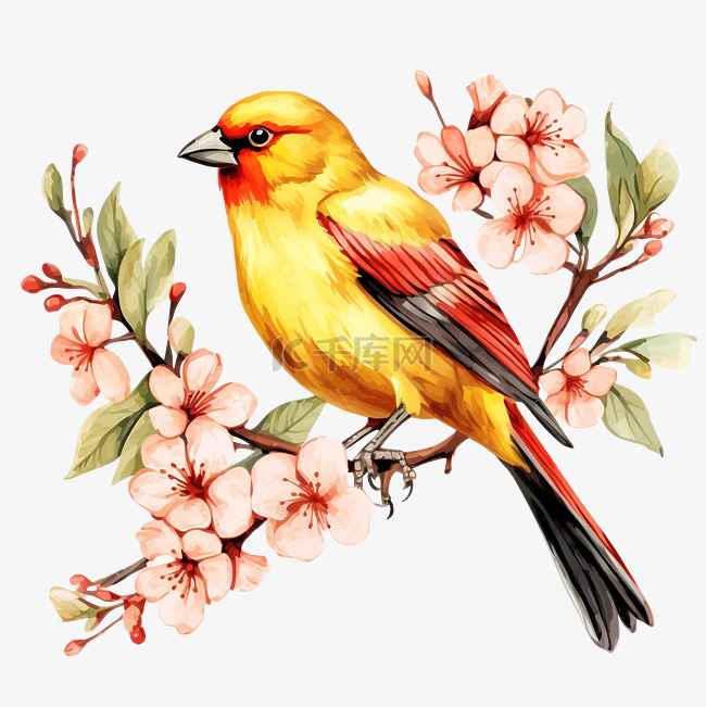 黄色的鸟坐在开着红色花朵的树枝