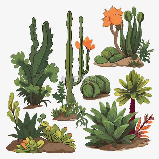 丛林植物剪贴画沙漠卡通中的各种