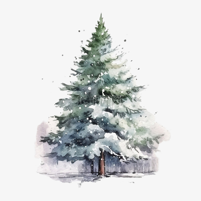 被雪覆盖的圣诞松树插画水彩