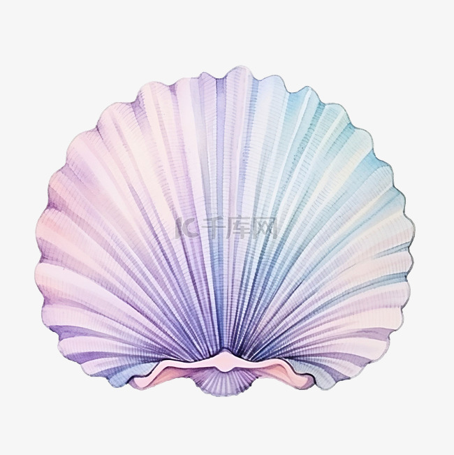 柔和的水彩海扇贝