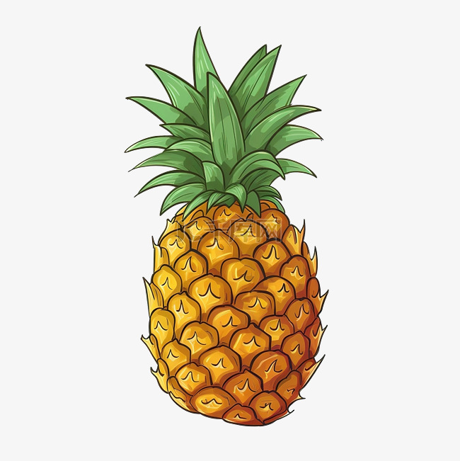 菠萝的涂鸦插图