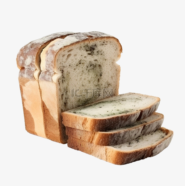 发霉的切片面包在隔离上