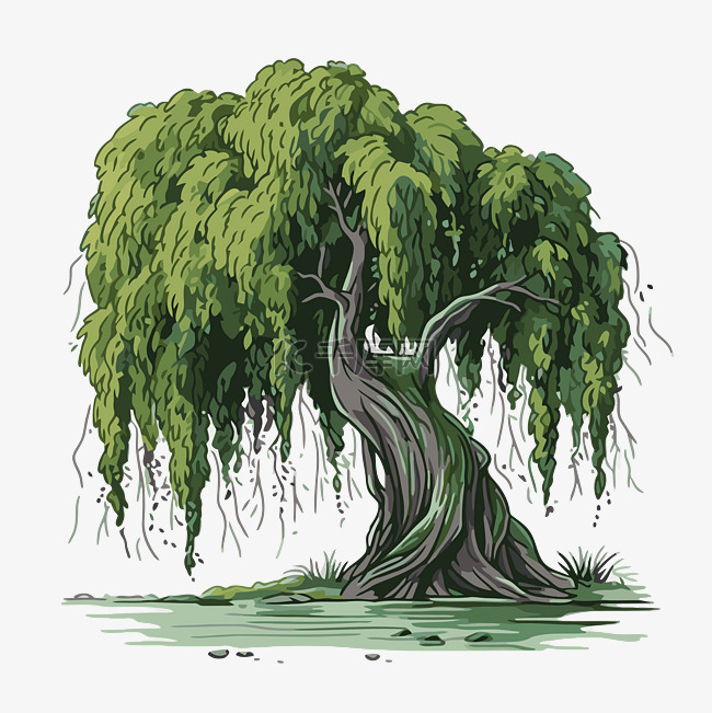 柳树剪贴画卡通手绘垂柳树的插图