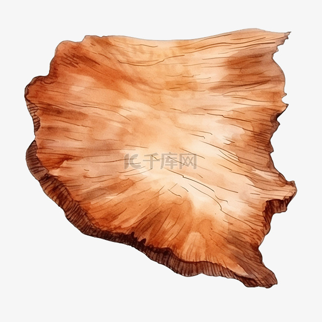 装饰水彩木板形状像一块树皮
