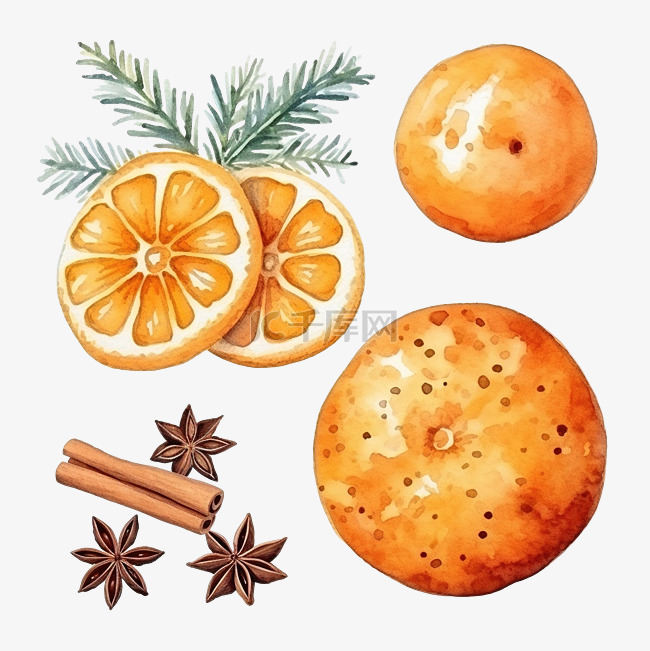 圣诞饼干和干橙孤立的矢量水彩元