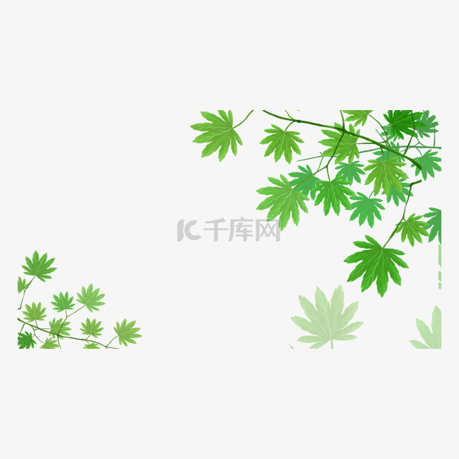水彩叶子植物边框横图浅绿色叶子