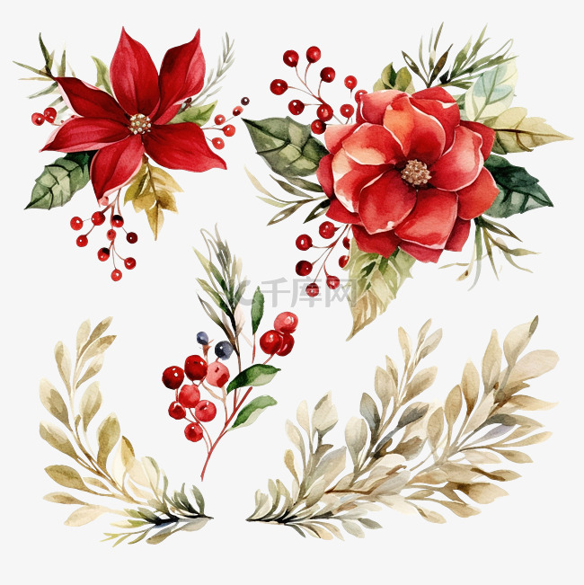 圣诞节和新年花卉水彩元素