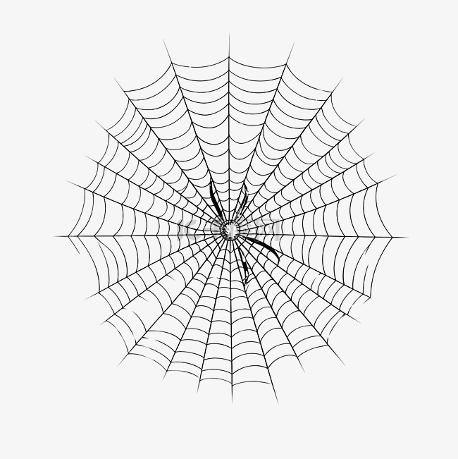 3D 渲染蜘蛛网用于万圣节庆祝