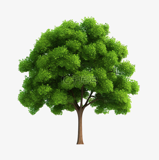 3d 孤立的绿树