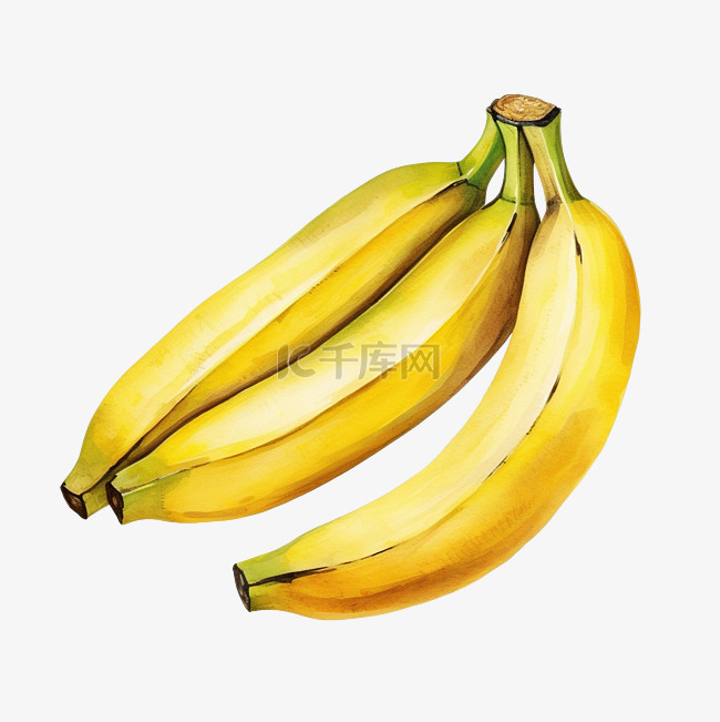 水彩香蕉水果