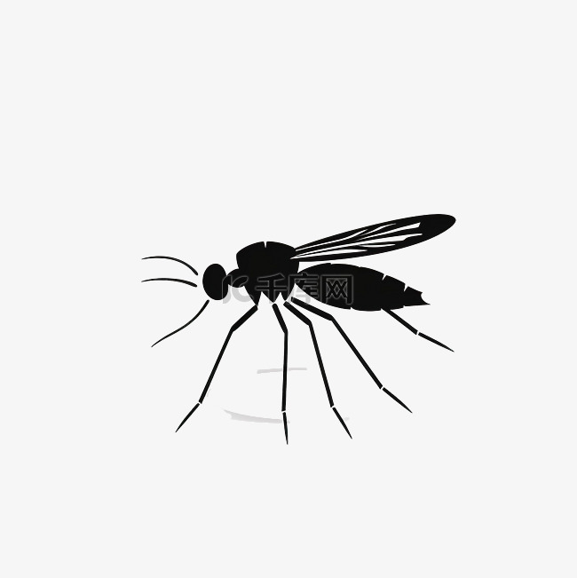 孤立的蚊子剪影