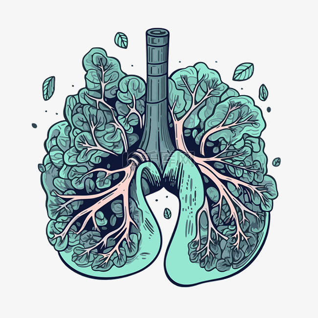 肺部剪贴画用叶子卡通画身体肺部