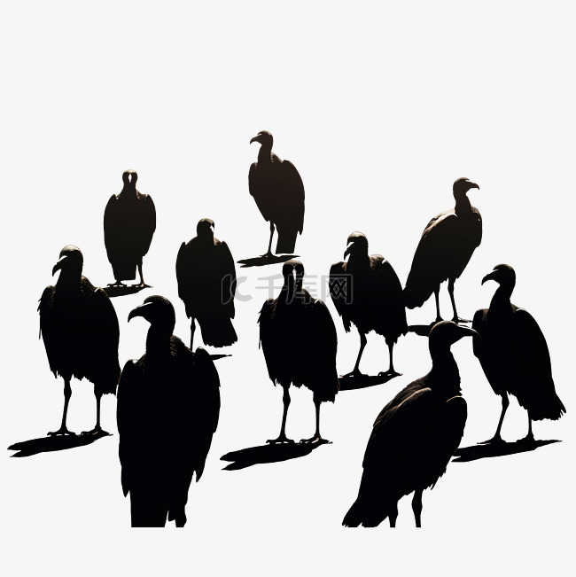 基于我的摄影的黑秃鹫鸟群的剪影