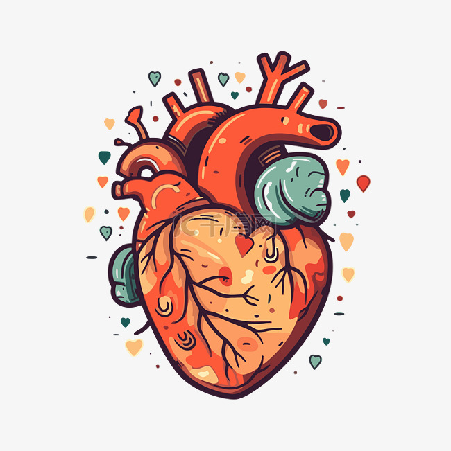 心脏剪贴画 人的心脏 插图 卡