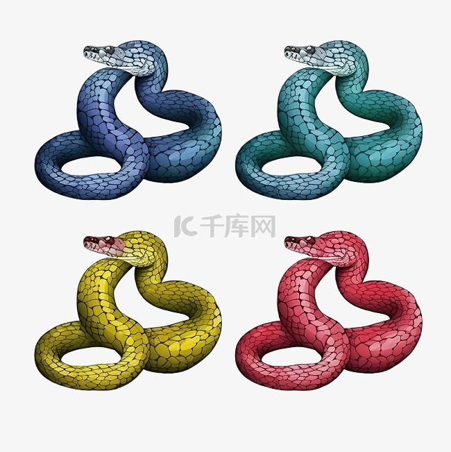 蛇 动物 颜色