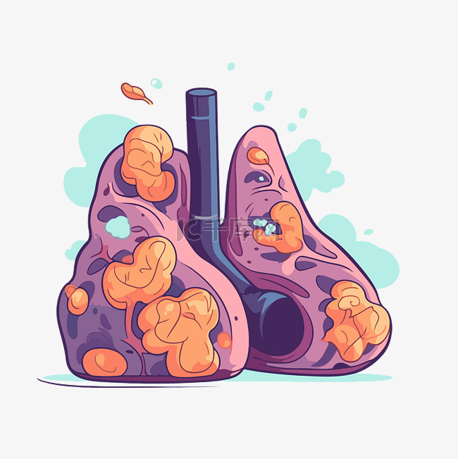 卡通肺 向量
