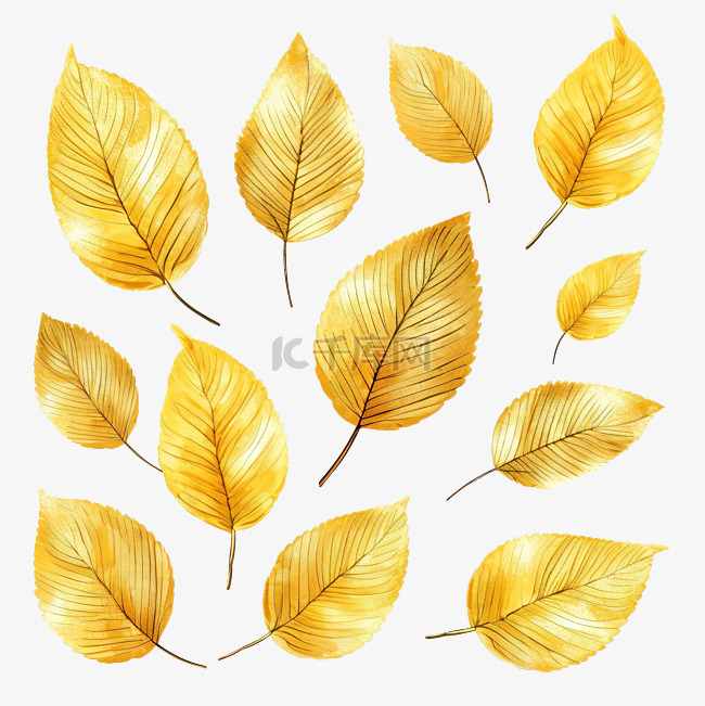金光闪闪的叶子插画