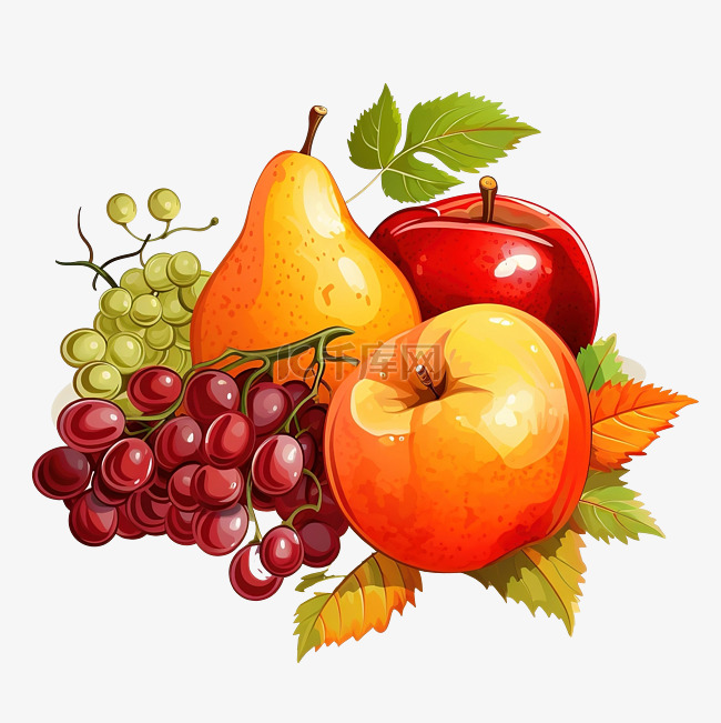 秋天的水果插画