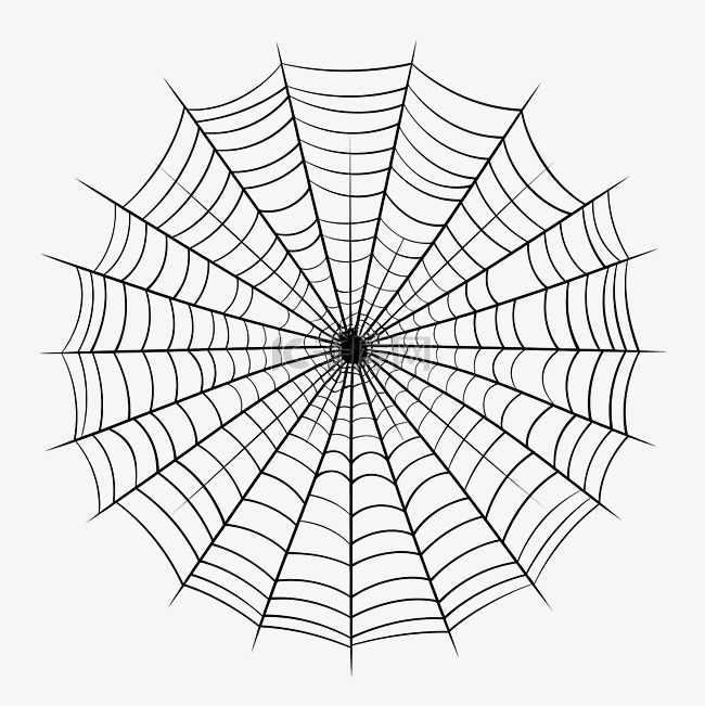 孤立的蜘蛛网集插图