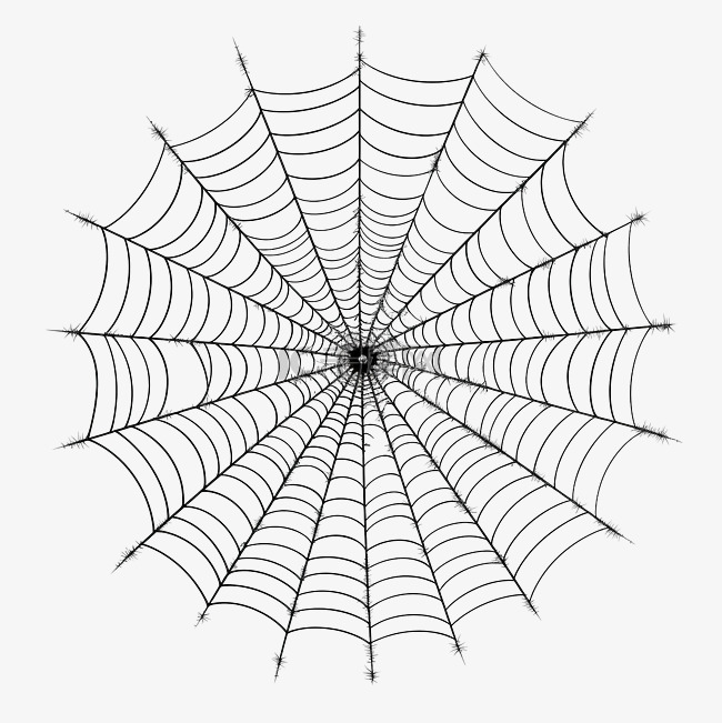 蜘蛛网涂鸦矢量图万圣节装饰