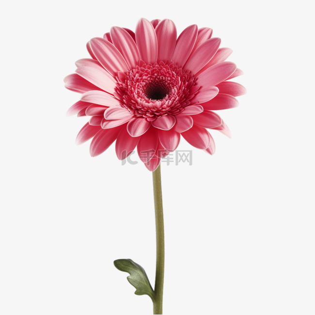 AICG粉色菊花元素立体免抠图案