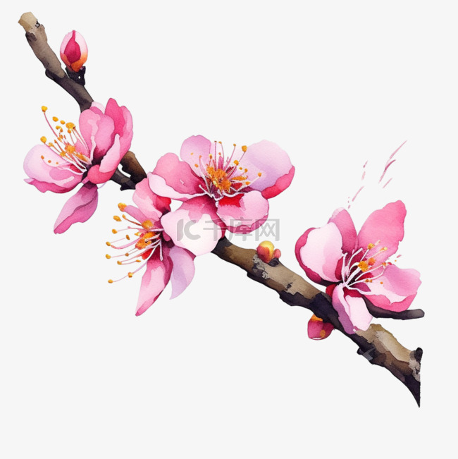 简单桃花水彩树枝插画设计图