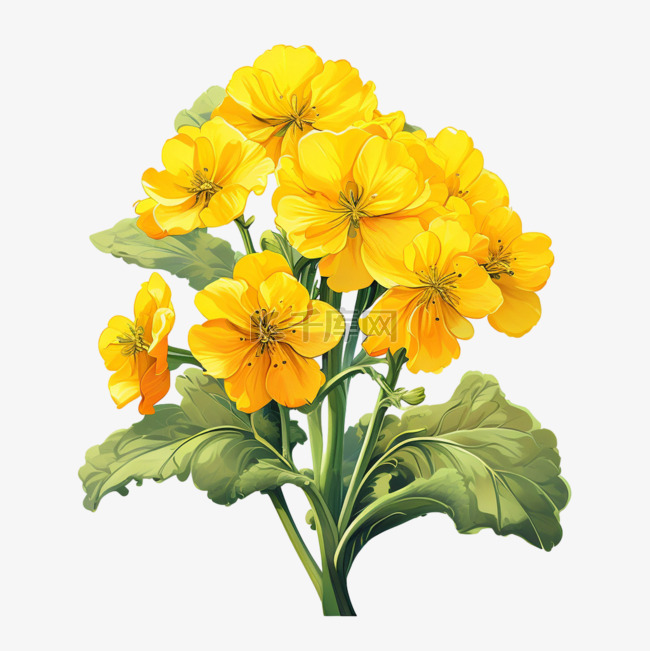 田野上的黄色油菜花设计