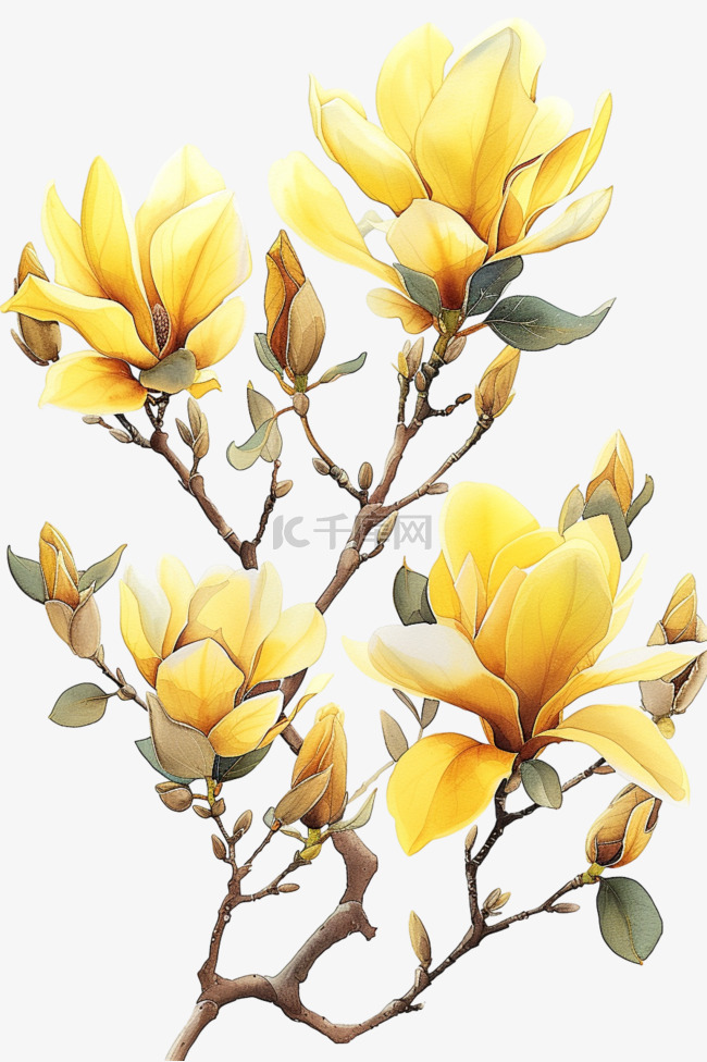春天黄色郁金香花植物免抠元素