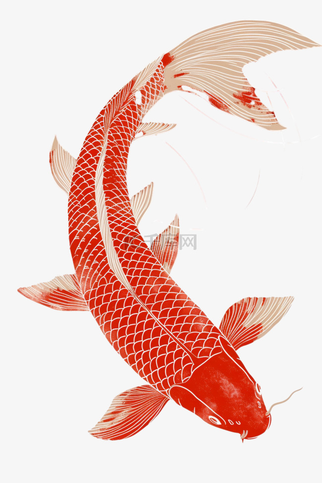 手绘描边免抠红色锦鲤元素
