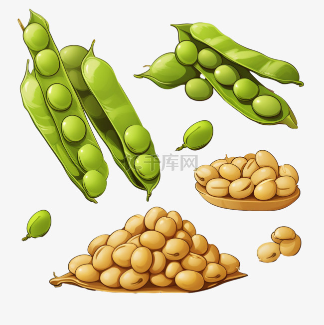 黄豆植物元素立体免抠图案真实