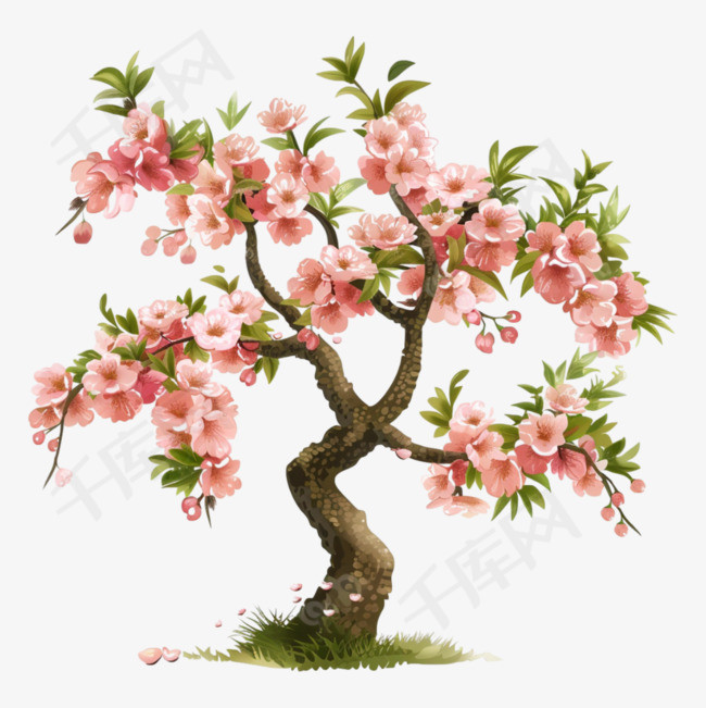春天一棵桃花树简约插画装饰元素