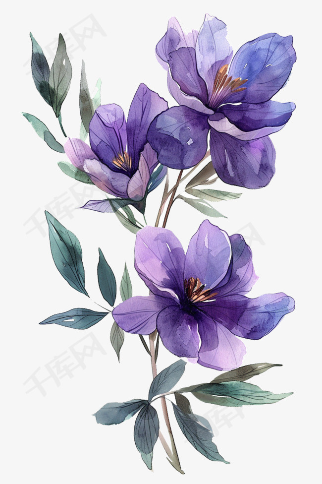 花朵春天紫色花免抠手绘元素