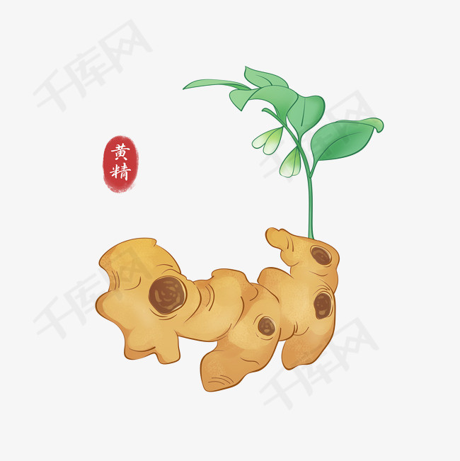 加入中药,手绘,药材,黄精等设计元素而成的一款浅色底色中药卡通手绘