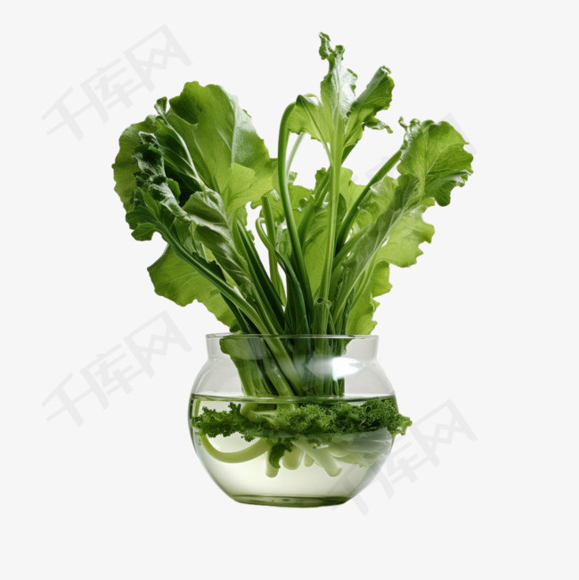 菠菜蔬菜元素立体免抠图案