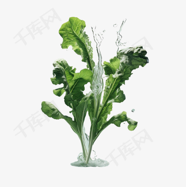 菠菜蔬菜元素立体免抠图案