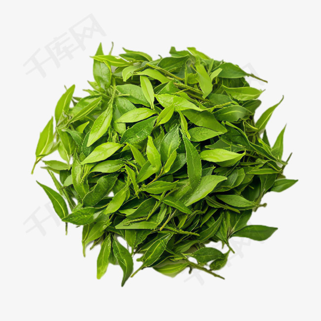 绿叶茶叶元素立体免抠图案