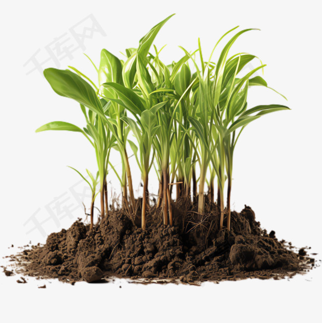 泥土绿苗元素立体免抠图案