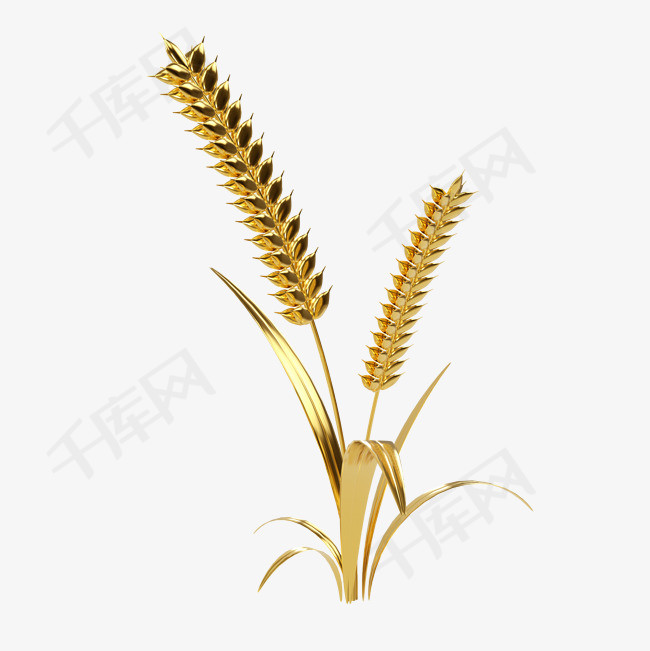 芒种麦穗小麦装饰元素3D金色小麦