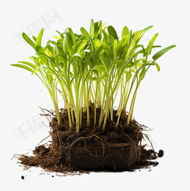泥土绿苗元素立体免抠图案