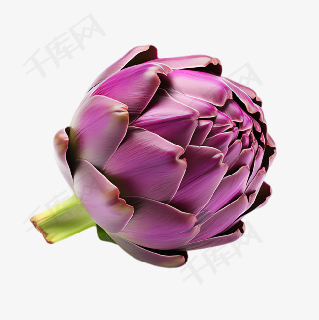 紫色植物元素立体免抠图案