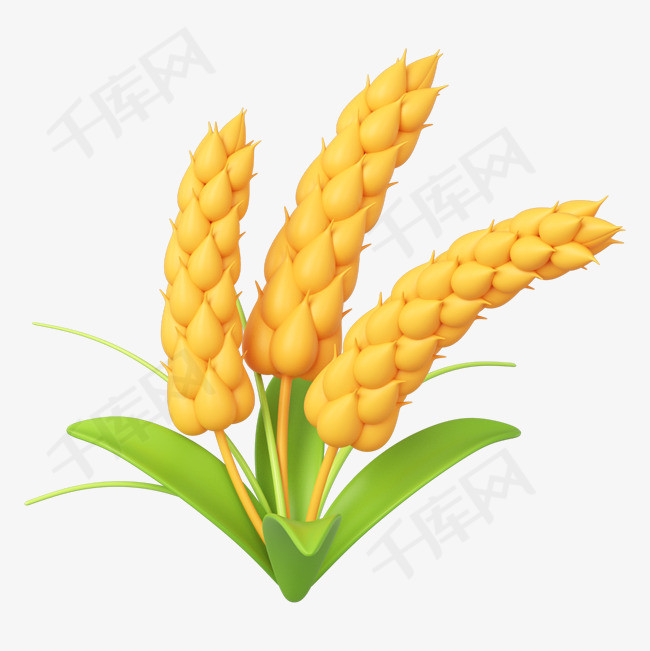 C4D立体麦子金色麦穗图片